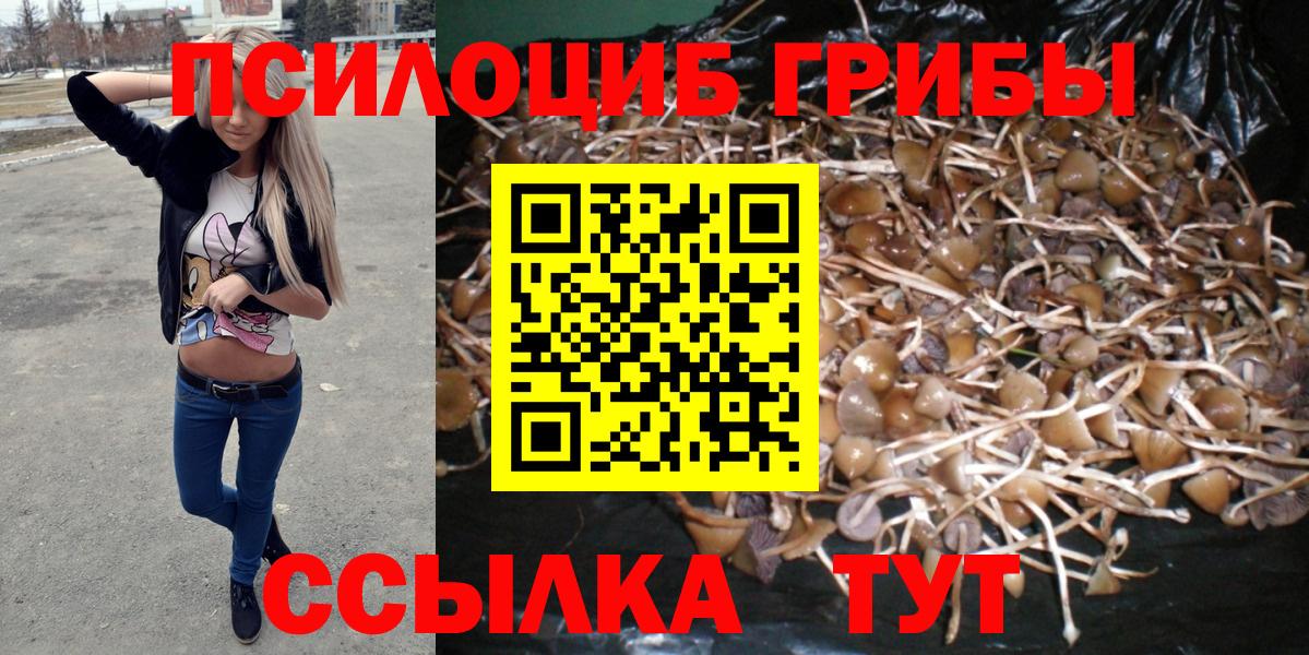 Псилоцибиновые грибы GOLDEN TEACHER  Вход с VPN  Лянтор 